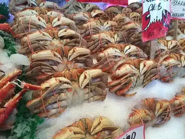 fresh crabs laid on a fishmongers stand